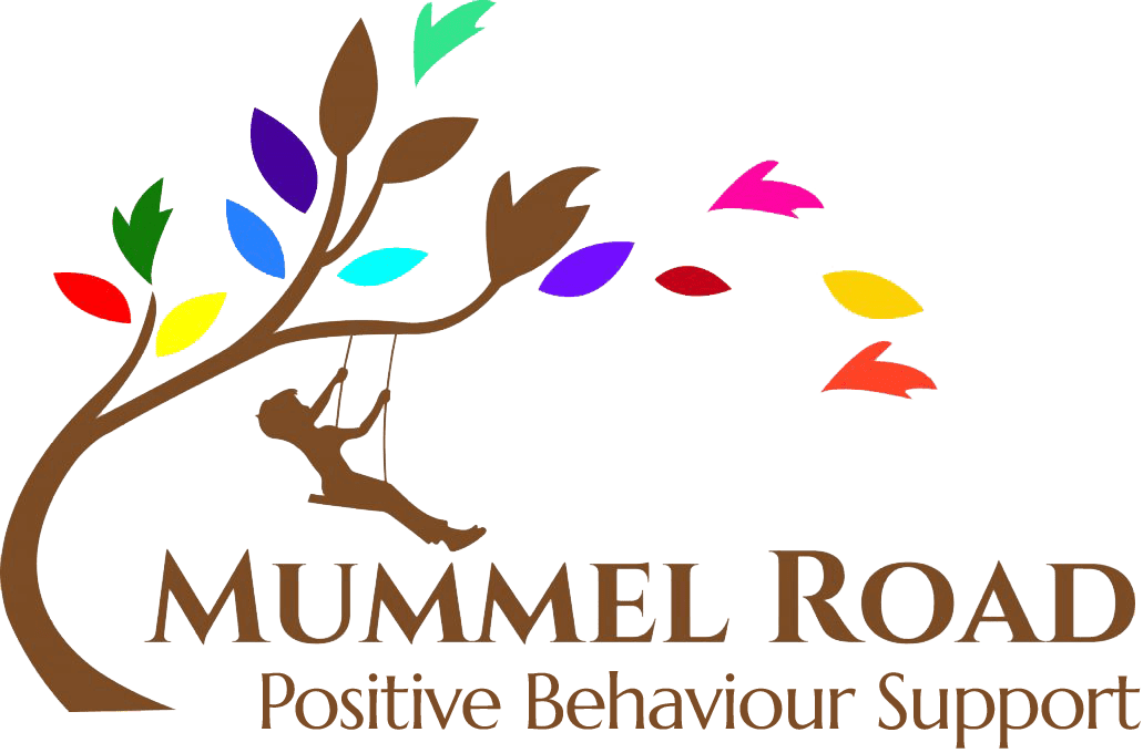 Mummel Road – Developmental Educator, Hunter Valley Logo